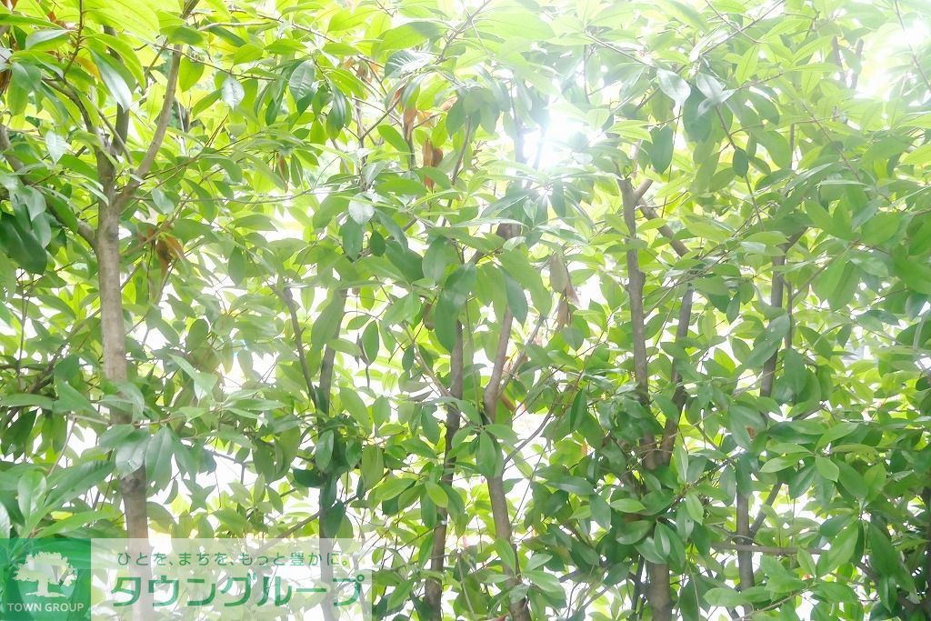 眺望　★景色★