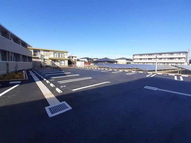 セレッソ花畑VIIIのその他写真
