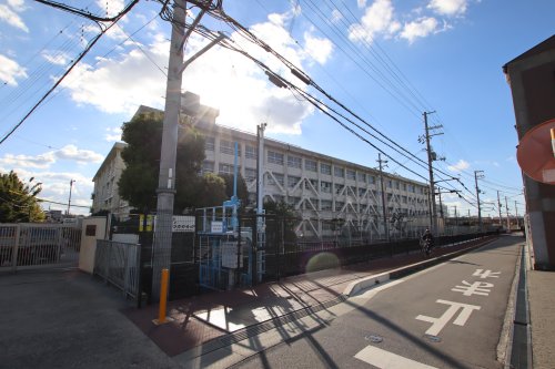 中学校　松原市立松原中学校（中学校）まで802m