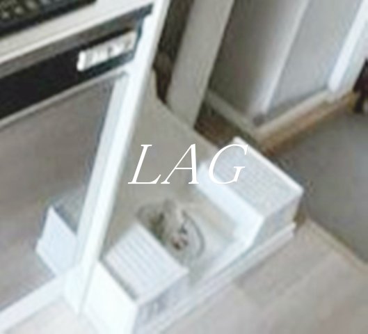 その他設備　室内洗濯機置き場です。