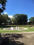 公園　天沼弁天池公園（公園）まで491m