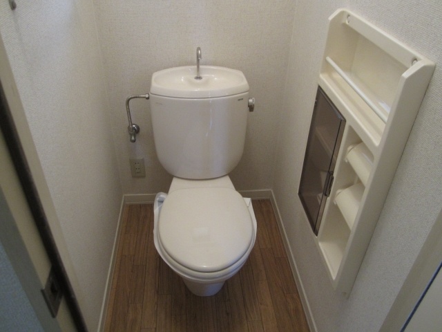 ドミールイシヅのトイレ写真