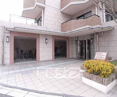エントランス　分譲マンションのような駐輪場とエントランス。