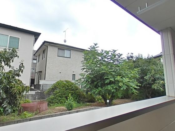 眺望　※別部屋の写真です