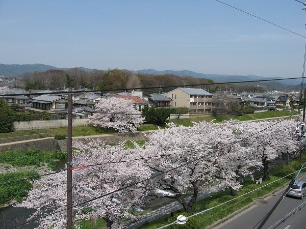 眺望　屋上からの眺め