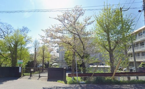 中学校　市原市立姉崎中学校（中学校）まで1244m