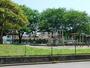 公園　しぶさわふれあい公園（公園）まで1039m