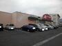 ドラックストア　クスリのアオキ三輪店（ドラッグストア）まで500m