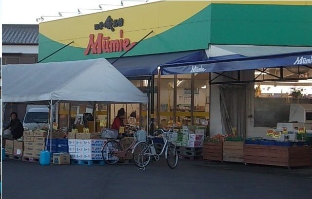 スーパー　ムーミー三本松店さん（スーパー）まで750m