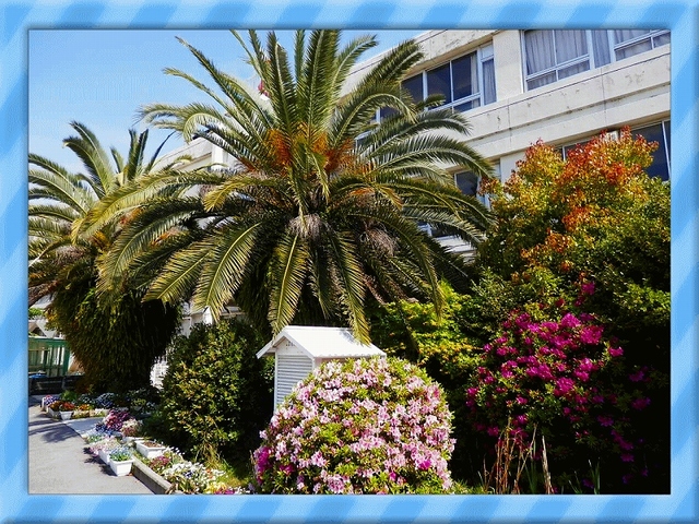 小学校　寝屋川市立池田小学校（小学校）まで360m