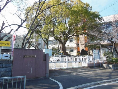 小学校　大阪狭山市立西小学校（小学校）まで734m