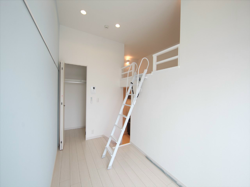 その他　洋室4.6帖　ロフト5.3帖（収納でもお部屋でも使えます）