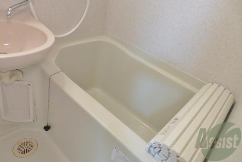 バス・シャワールーム　浴槽はこのような感じ、ゆったりと浸かれそうです。