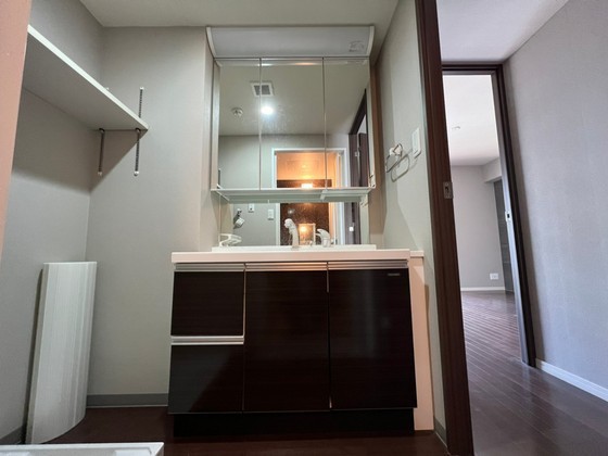 洗面設備　※別号室の写真です。