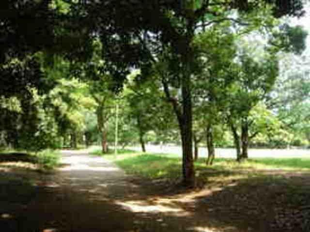 公園　清澄庭園（公園）まで100m