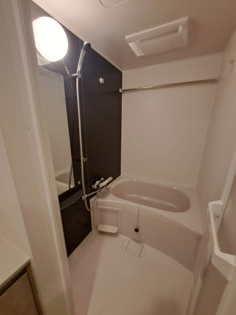 バス・シャワールーム　同タイプの他のお部屋