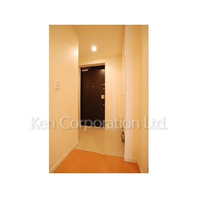 玄関　同タイプ3階のお部屋を撮影。仕様が異なることがあります。