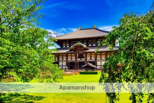 その他　【寺院・神社】東大寺（その他）まで817m