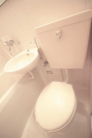 トイレ　トイレ(202)