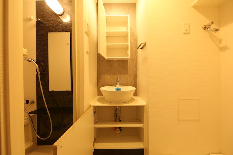 洗面設備　脱衣所　独立洗面台　収納スペース有