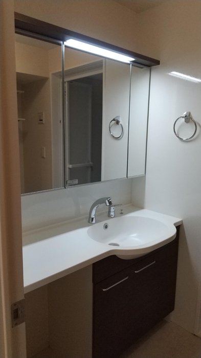 洗面設備　※写真は類似です。他号室の写真になります