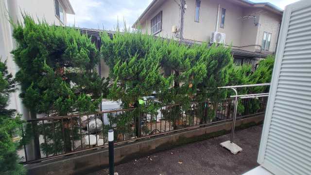 眺望　別部屋参考写真となります。