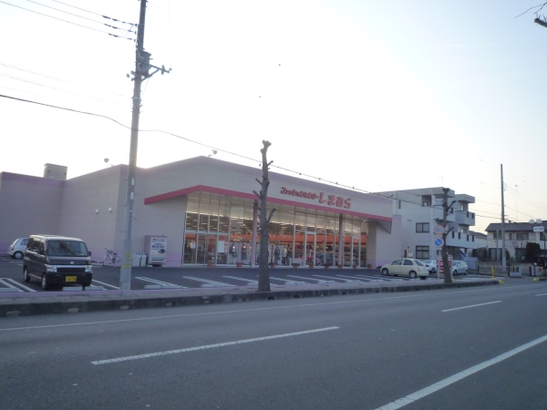 その他　ファッションセンターしまむら田彦店（その他）まで750m