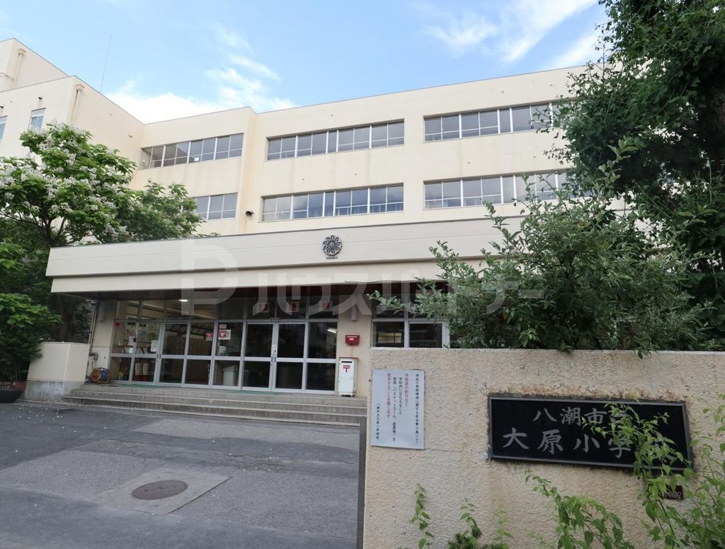 小学校　八潮市立大原小学校（小学校）まで550m