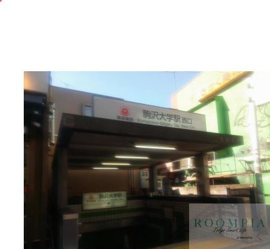 その他　駒沢大学駅(東急 田園都市線)（その他）まで1000m