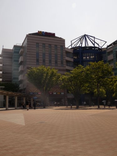 その他　109シネマズ港北（その他）まで558m