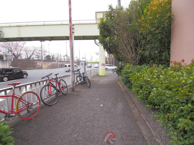 その他　周辺（その他）まで10m