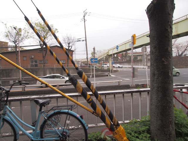 その他　周辺（その他）まで10m