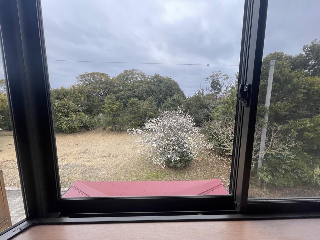 眺望　出窓から隣の梅がきれいです