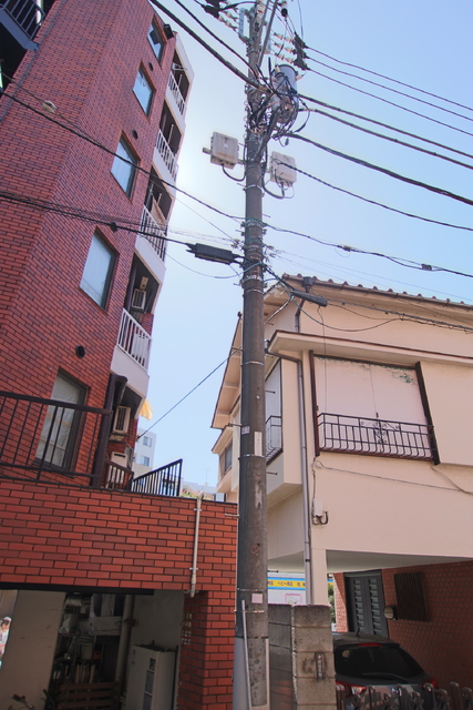 眺望　２０２６．３．１４撮影