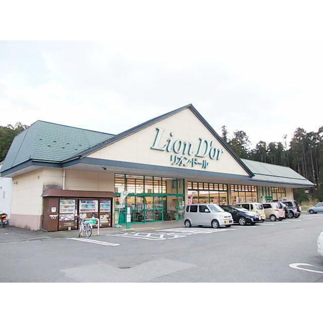 ショッピングセンター　リオン・ドール鬼怒川店（ショッピングセンター）まで900m