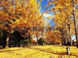 公園　学びの森（公園）まで1971m