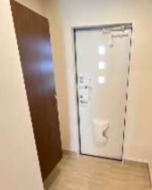 玄関　同仕様