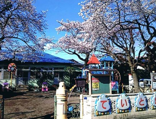 幼稚園・保育園　帝都幼稚園（幼稚園・保育園）まで245m