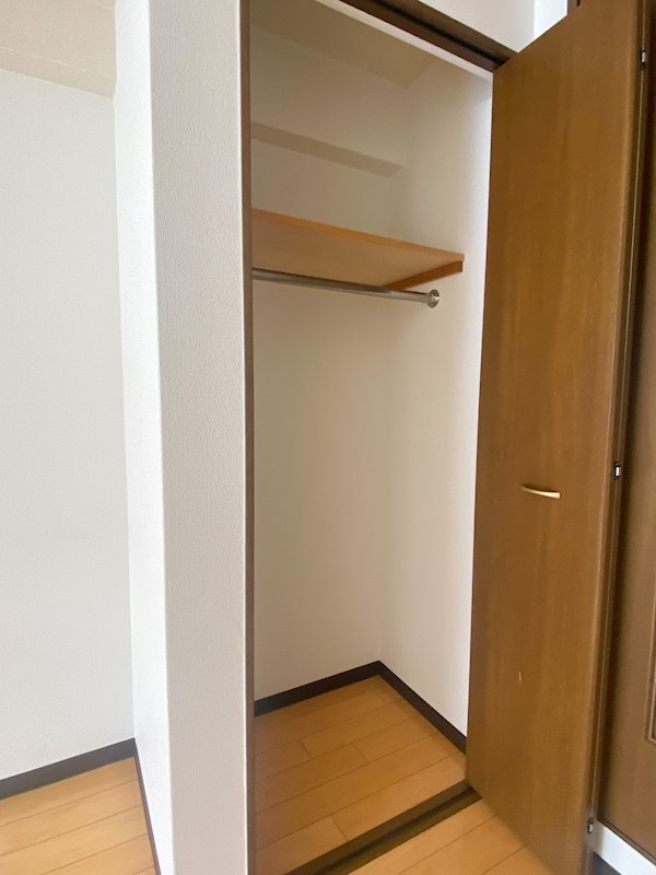 収納　同物件他室画像です