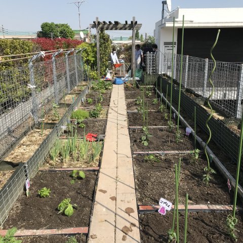 その他共有部分　屋上菜園