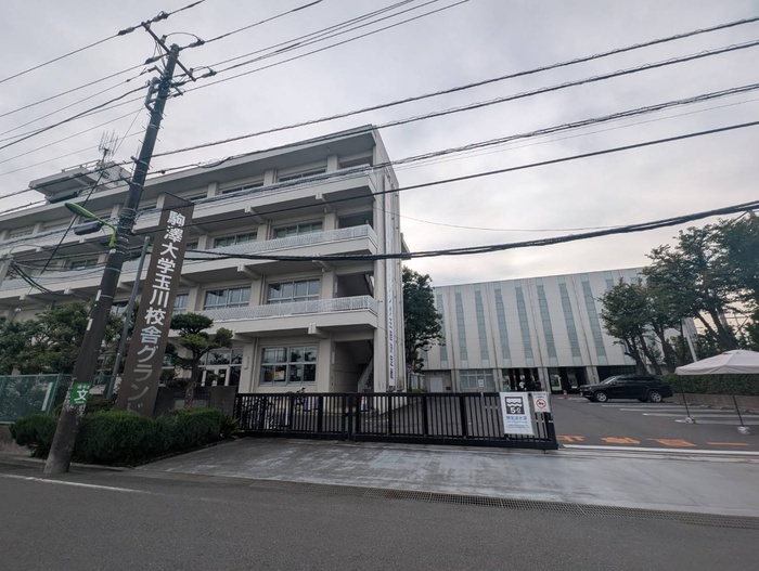 大学・短大　駒澤大学玉川キャンパス（大学・短大）まで300m