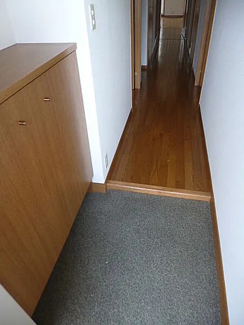 玄関　※同建物の別のお部屋の写真です。