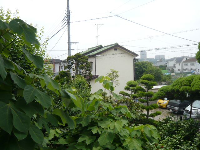 眺望