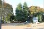 公園　桜新町さくらっ子公園（公園）まで929m