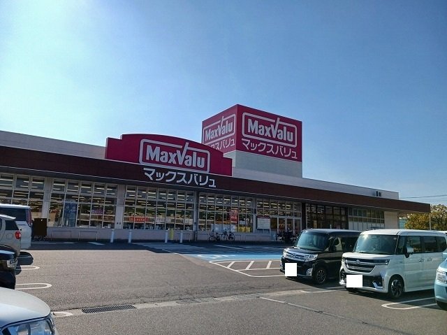その他　マックスバリュ浅江店まで350m