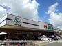 スーパー　鮮ど市場元宮店（スーパー）まで500m