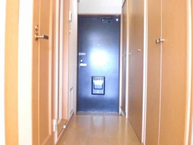 その他設備　★キッチンも扉付き収納内★