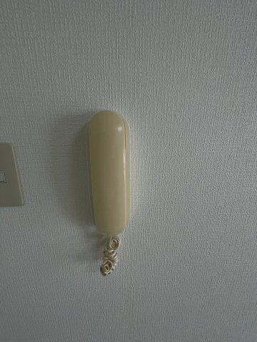 セキュリティ　受話器付きインターホンです