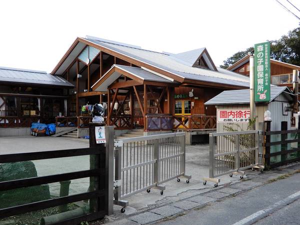 幼稚園・保育園　森の子園保育所（幼稚園・保育園）まで1000m