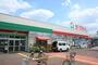 スーパー　ヨークマート厚木妻田店（スーパー）まで529m